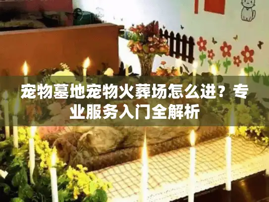 宠物墓地宠物火葬场怎么进？专业服务入门全解析