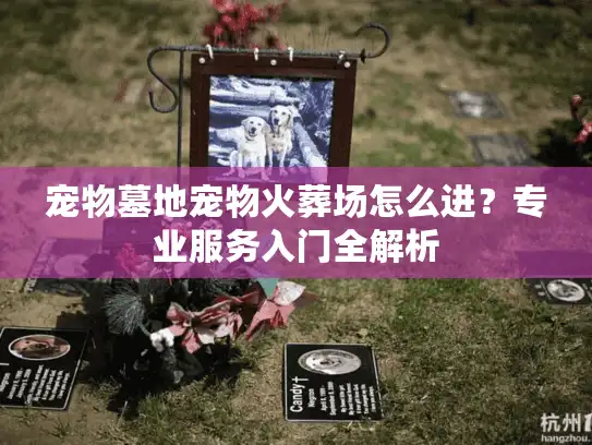 宠物墓地宠物火葬场怎么进？专业服务入门全解析