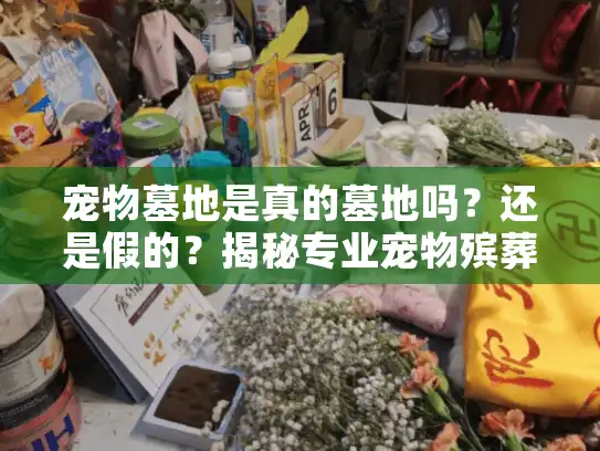宠物墓地是真的墓地吗？还是假的？揭秘专业宠物殡葬服务真相