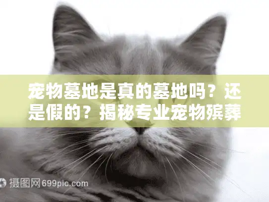 宠物墓地是真的墓地吗？还是假的？揭秘专业宠物殡葬服务真相