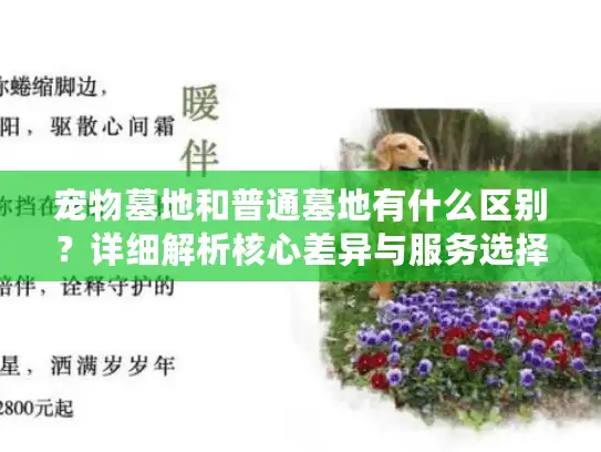 宠物墓地和普通墓地有什么区别？详细解析核心差异与服务选择