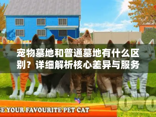 宠物墓地和普通墓地有什么区别？详细解析核心差异与服务选择