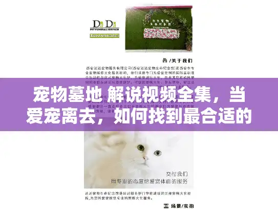 宠物墓地 解说视频全集，当爱宠离去，如何找到最合适的安息地？