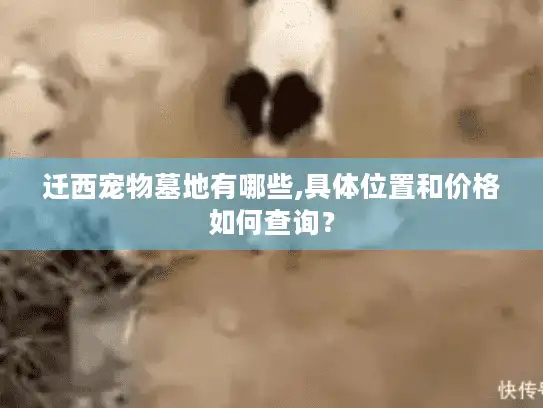 迁西宠物墓地有哪些,具体位置和价格如何查询？
