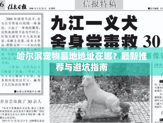 哈尔滨宠物墓地地址在哪？最新推荐与避坑指南