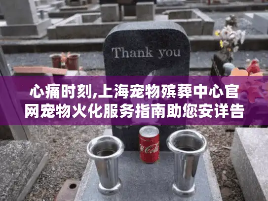 心痛时刻,上海宠物殡葬中心官网宠物火化服务指南助您安详告别