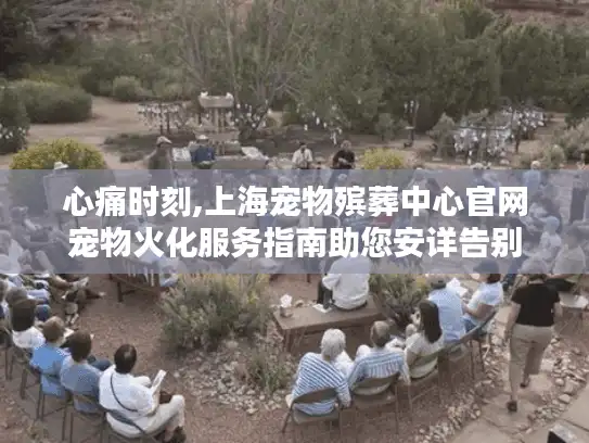 心痛时刻,上海宠物殡葬中心官网宠物火化服务指南助您安详告别