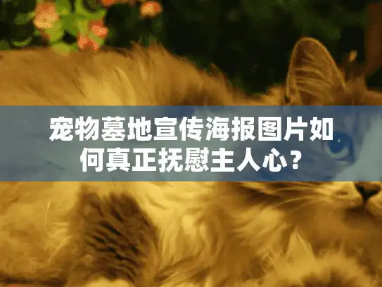 宠物墓地宣传海报图片如何真正抚慰主人心？