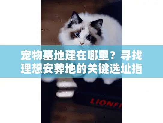 宠物墓地建在哪里？寻找理想安葬地的关键选址指南
