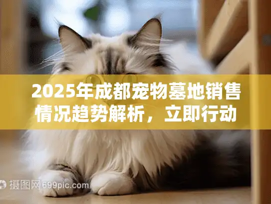 2025年成都宠物墓地销售情况趋势解析，立即行动选择最佳方案