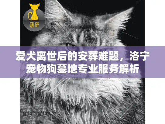 爱犬离世后的安葬难题，洛宁宠物狗墓地专业服务解析