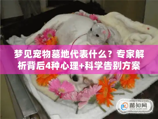 梦见宠物墓地代表什么？专家解析背后4种心理+科学告别方案