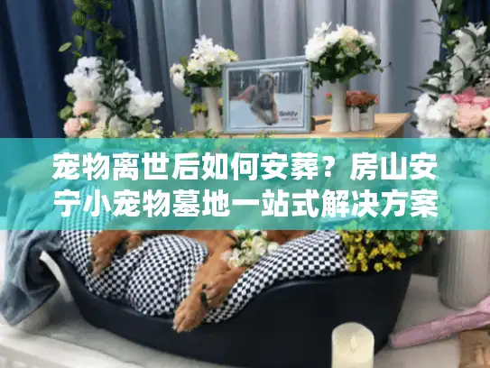 宠物离世后如何安葬？房山安宁小宠物墓地一站式解决方案