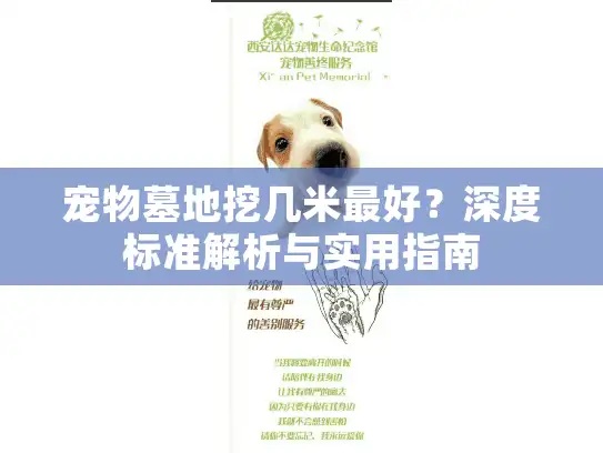 宠物墓地挖几米最好？深度标准解析与实用指南