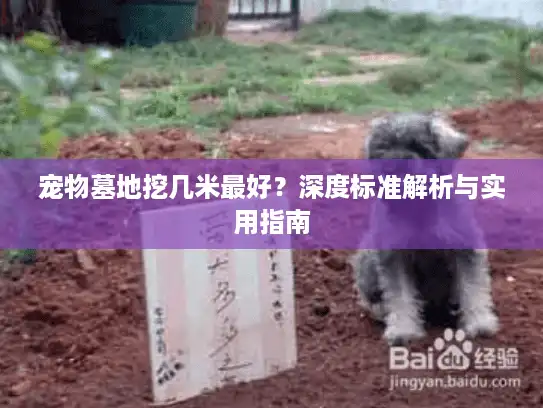 宠物墓地挖几米最好？深度标准解析与实用指南