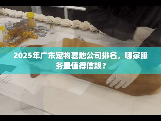 2025年广东宠物墓地公司排名，哪家服务最值得信赖？