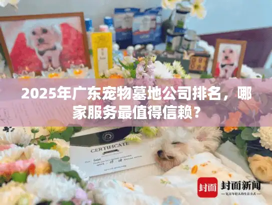 2025年广东宠物墓地公司排名，哪家服务最值得信赖？