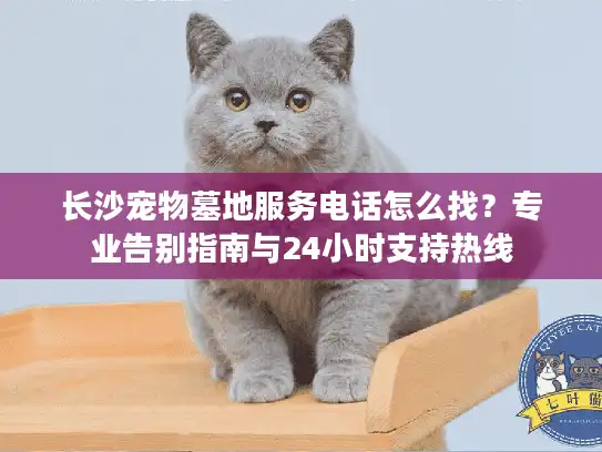 长沙宠物墓地服务电话怎么找？专业告别指南与24小时支持热线
