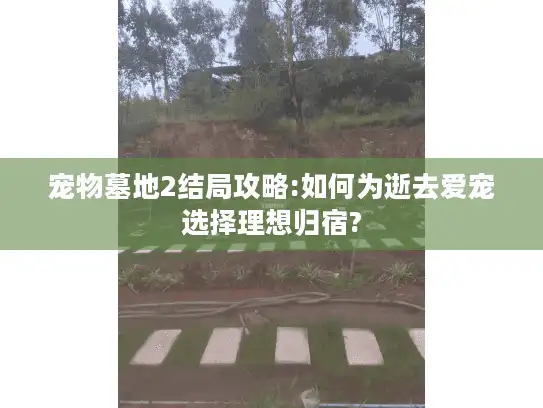 宠物墓地2结局攻略:如何为逝去爱宠选择理想归宿?