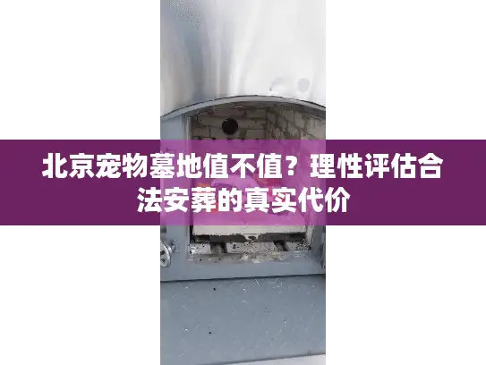 北京宠物墓地值不值？理性评估合法安葬的真实代价