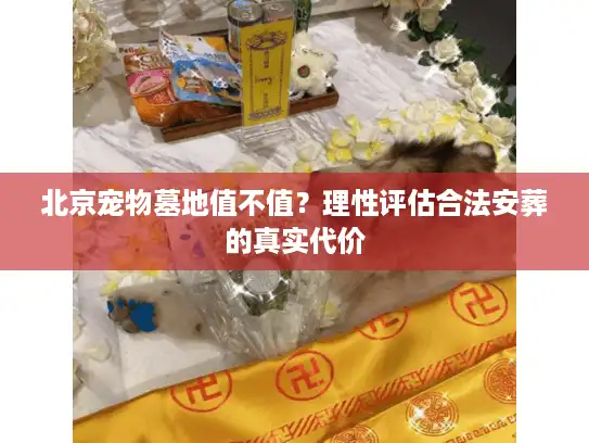 北京宠物墓地值不值？理性评估合法安葬的真实代价