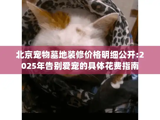 北京宠物墓地装修价格明细公开:2025年告别爱宠的具体花费指南