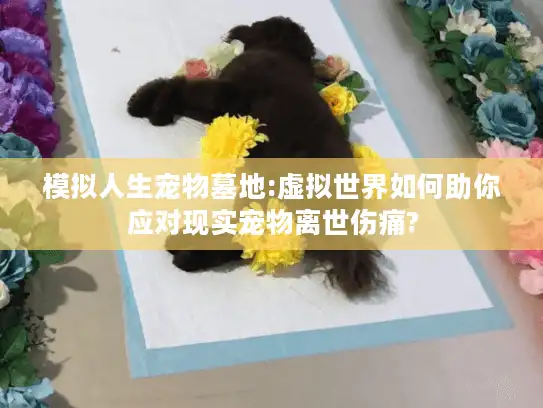 模拟人生宠物墓地:虚拟世界如何助你应对现实宠物离世伤痛?