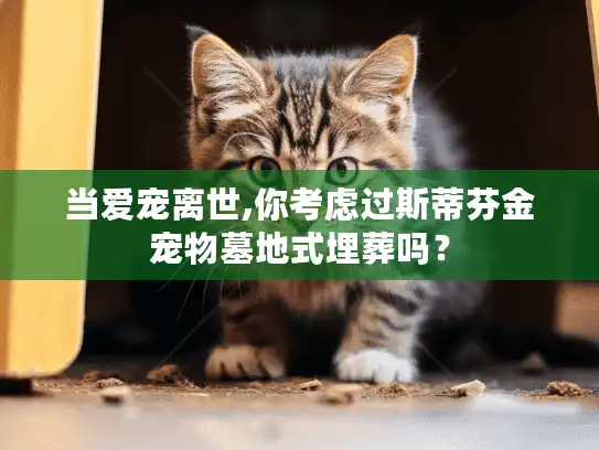 当爱宠离世,你考虑过斯蒂芬金宠物墓地式埋葬吗？