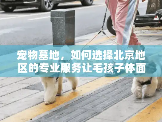 宠物墓地，如何选择北京地区的专业服务让毛孩子体面安息？