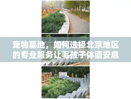 宠物墓地，如何选择北京地区的专业服务让毛孩子体面安息？