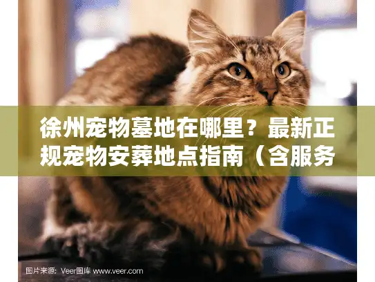 徐州宠物墓地在哪里？最新正规宠物安葬地点指南（含服务详情）