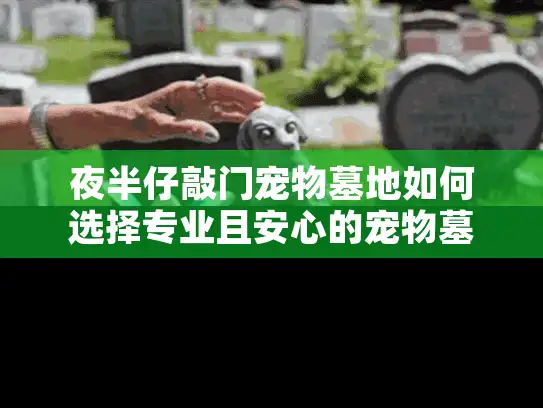 夜半仔敲门宠物墓地如何选择专业且安心的宠物墓地服务方案?