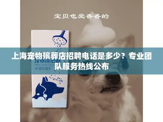 上海宠物殡葬店招聘电话是多少？专业团队服务热线公布
