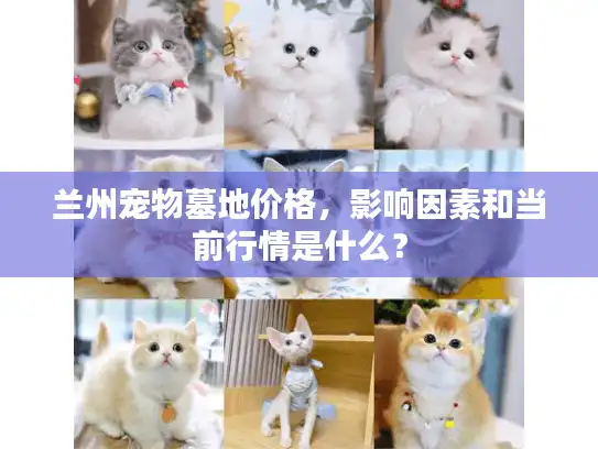 兰州宠物墓地价格，影响因素和当前行情是什么？