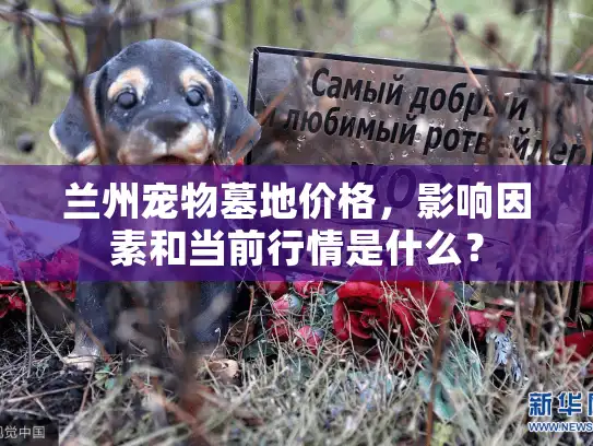 兰州宠物墓地价格，影响因素和当前行情是什么？