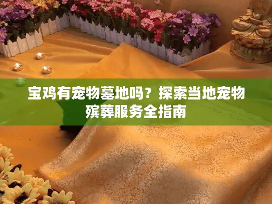 宝鸡有宠物墓地吗？探索当地宠物殡葬服务全指南