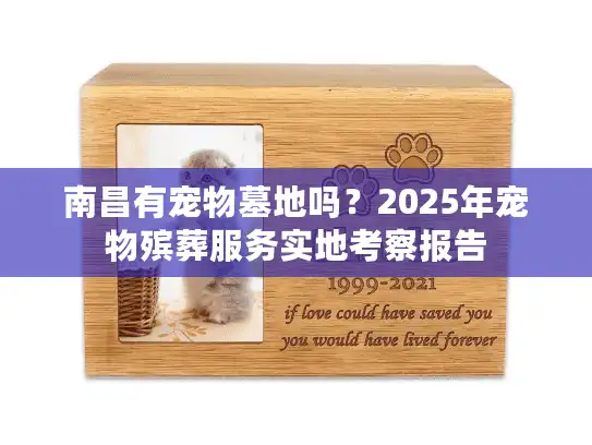 南昌有宠物墓地吗？2025年宠物殡葬服务实地考察报告