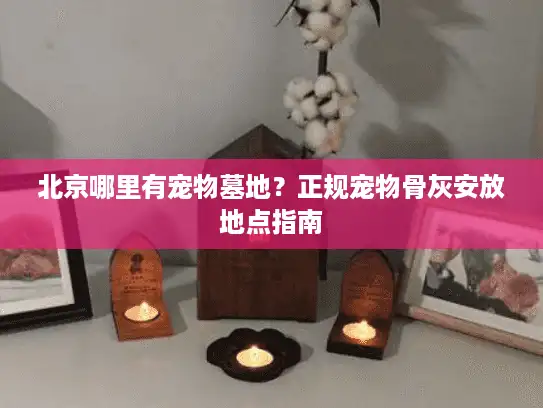 北京哪里有宠物墓地？正规宠物骨灰安放地点指南