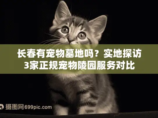 长春有宠物墓地吗？实地探访3家正规宠物陵园服务对比