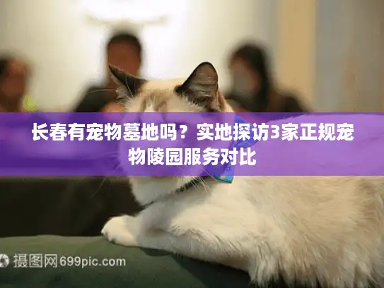 长春有宠物墓地吗？实地探访3家正规宠物陵园服务对比