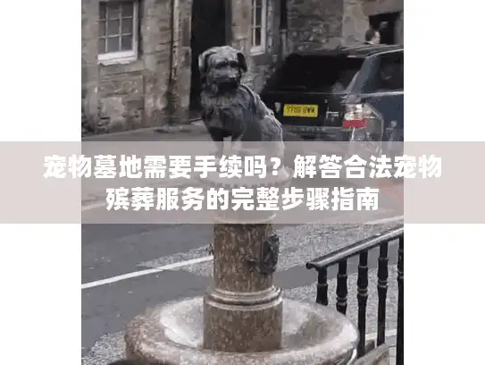 宠物墓地需要手续吗？解答合法宠物殡葬服务的完整步骤指南