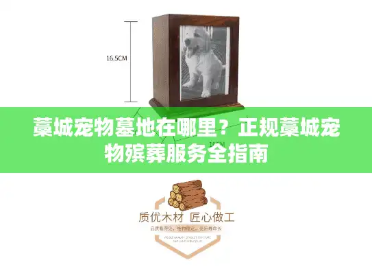 藁城宠物墓地在哪里？正规藁城宠物殡葬服务全指南