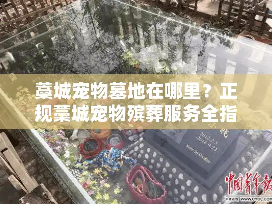 藁城宠物墓地在哪里？正规藁城宠物殡葬服务全指南