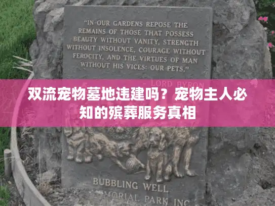 双流宠物墓地违建吗？宠物主人必知的殡葬服务真相
