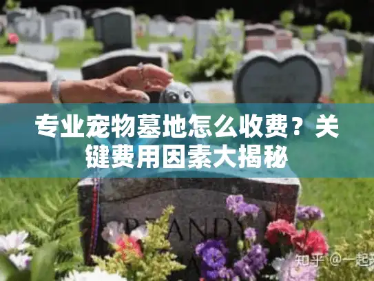 专业宠物墓地怎么收费？关键费用因素大揭秘