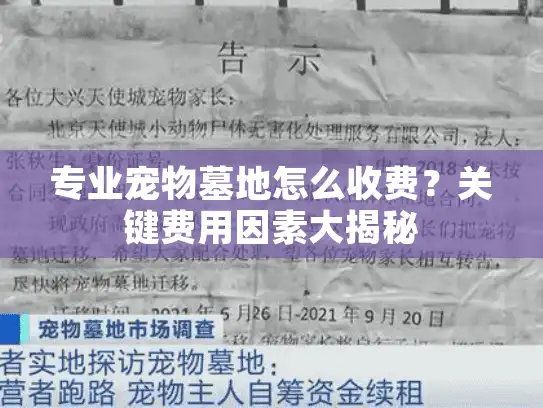 专业宠物墓地怎么收费？关键费用因素大揭秘
