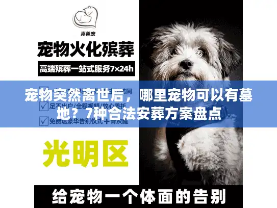 宠物突然离世后，哪里宠物可以有墓地？7种合法安葬方案盘点