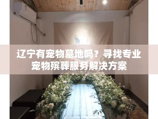辽宁有宠物墓地吗？寻找专业宠物殡葬服务解决方案