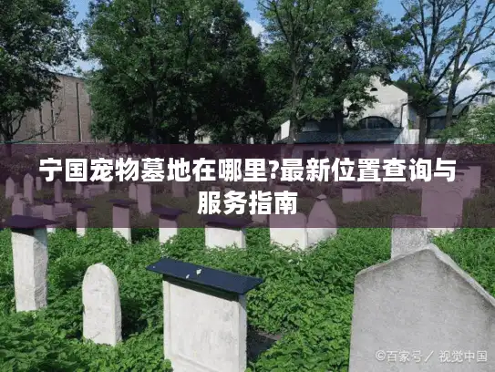 宁国宠物墓地在哪里?最新位置查询与服务指南
