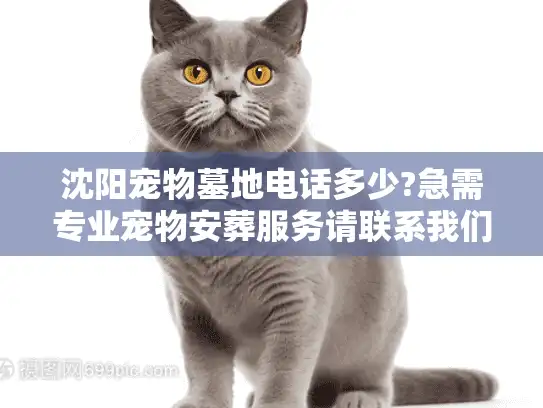 沈阳宠物墓地电话多少?急需专业宠物安葬服务请联系我们